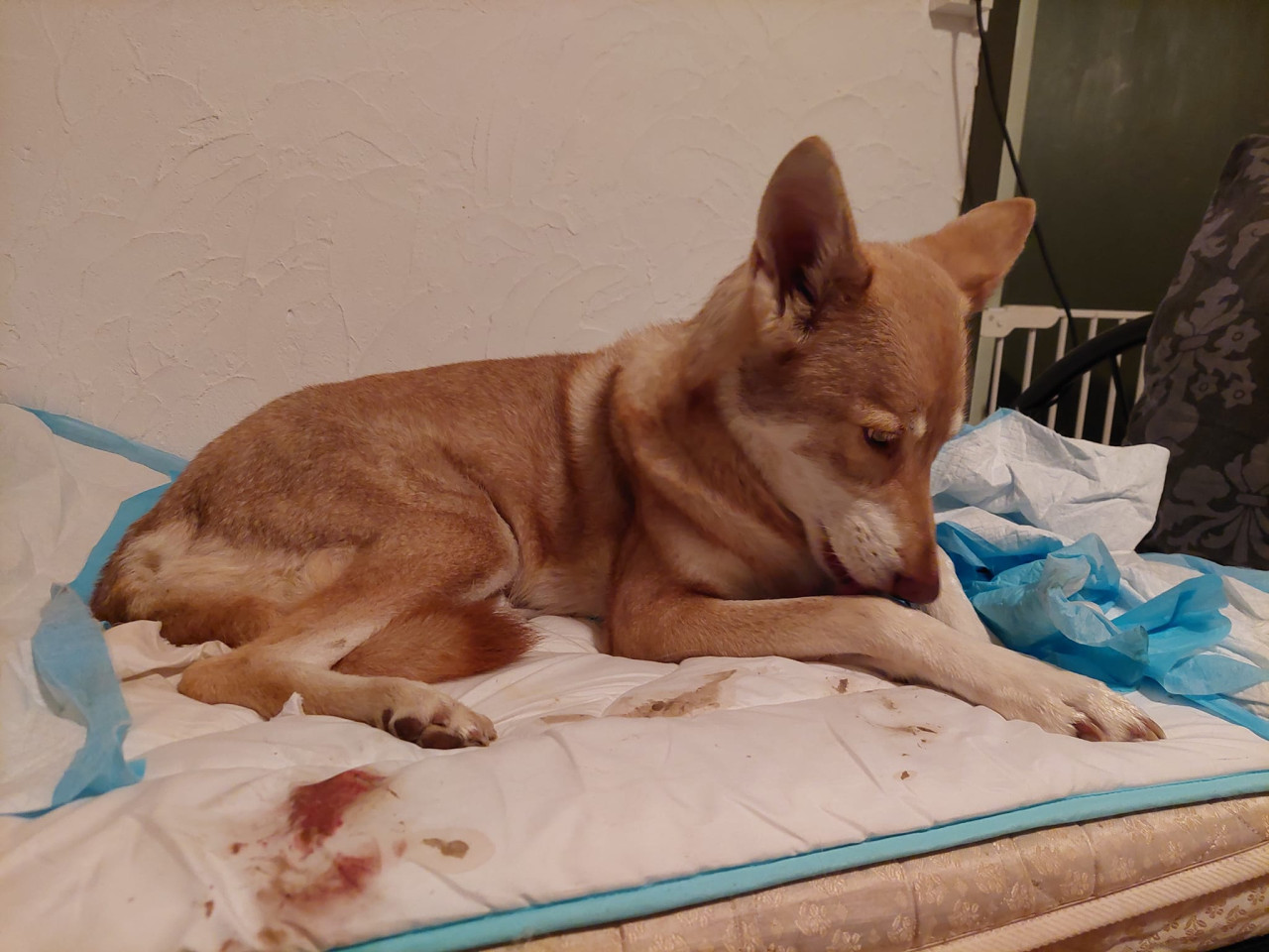 458398154 495325503390814 466561425202264139 n